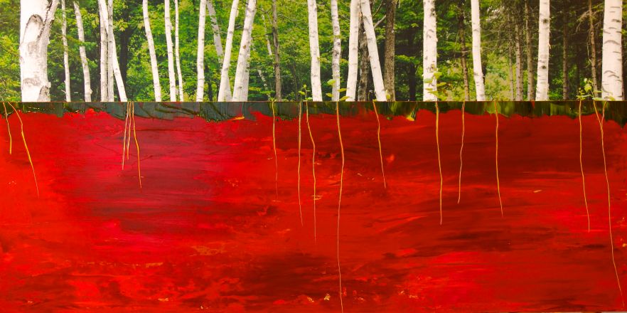 Bouleaux_Rouge, Techniques mixtes sur toile, 24x48po, 2014