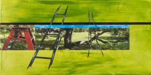 Escabeau-Échelles_2015_Impression numérique de qualité archives et acrylique sur toile_12x24po